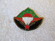 PIN'S    A.A.P.M.A   PUY DE DOME  PARACHUTE - Parachutting