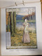 Delcampe - LIVRET COMPORTANT 12 PLANCHES LA BELLE JARDINIERE / CALENDRIER 1898 - Formato Grande : ...-1900