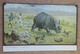 2 CARDS - AN OLD, UNUSED CARD  IIN VGC OF RHINOCORUS HUNT And A Used 1918 Card Of CLARKE'S GAZELLES In Somaliland. - Rhinozeros