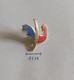 FÉDÉRATION FRANÇAISE DE SKI  France SKIING / SKI Federation PIN A7/4 - Sports D'hiver