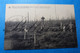 Delcampe - Houthulst  Lot X 17 Cpa-guerre 1914-1918 Ruins Ruines - Houthulst