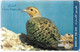 CARTE-PREPAYEE-ETISALAT-GREY FRANCOLIN-PERDRIX GRISE-Plastic Epais-TBE-RARE - Gallinacés & Faisans