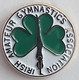 Ireland Irish Amateur Gymnastics Federation Association Union  PIN A11/5 - Gymnastique