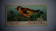 BRITISH BIRDS N° 7 GOLDFINCH Oiseau Bird  Cigarettes OGDEN'S Tobacco Vignette Trading Card Chromo - Ogden's