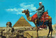 47490. Postal Aerea  EL CAIRO (Egypte) 1976. Fechador Station Martirime Alexandrie. Vista Piramides Y Esfinge - Cartas & Documentos