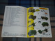 Delcampe - Catalogue Original DINKY TOYS 1969 - N°5 - Voitures Miniatures - Catálogos