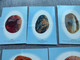 Lot Of 10, Rain Flower Pebbles, Stones Fossils Minerals, Chine China Postcard - Mines