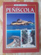 LIBRO PEÑÍSCOLA CASTELLÓN EDICIÓN CASTELLANA AÑO 2009, 64 PÁGINAS, COMUNIDAD VALENCIANA SPAIN....SPANIEN ESPAGNE SPAGNA. - Geografia E Viaggi