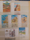 Delcampe - Collection De 1000 TIMBRES D'ISRAEL Et Blocs - NEUFS** - Collections, Lots & Séries