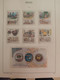 Delcampe - Collection De 1000 TIMBRES D'ISRAEL Et Blocs - NEUFS** - Collections, Lots & Séries