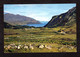 Ecosse - Loch Maree From Tollie, Ross-shire - Ross & Cromarty