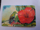 BRITSCH VIRGIN ISLANDS  US$ 5  BVI-67A   HUMMING BIRD    67CBVA     Fine Used Card   ** 11849** - Virgin Islands