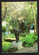 Angleterre - Cornwall - Dame BARBARA HEPWORTH Garden With Torso II Muséum , St-Ives - St.Ives