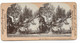 XX17274/ Stereofoto Türkei Plane-Tree Of  The Janissaries  Baum  Foto 1900 - Turkey