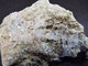 Gilalite With Hydroxyapophylite (K)  (3.5 X 3 X 1 Cm ) Christmas Mine - Banner Mining Distr - Gila Co- - Arizona - USA - Minéraux