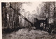 2 PHOTOS  CURAGE DE  L AILETTE  EN 1953  MARIZELLE  BICHANCOURT LE BAC  CHAUNY - Other & Unclassified