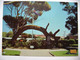 Glenelg (suburb Of Adelaide) - Old Gum Tree - Adelaide