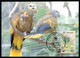 SÃO VICENTE E GRANADINAS - FILATELIA - MÁXIMOS - Parrot.  (Ed. WWF / Photo: Vireo / G.S.Glenn) Carte Postale - Saint Vincent En De Grenadines