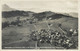 Hohenluftkurort Mittelberg 1933 - Mittelberg