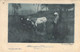 CPA ANIMAUX - Vache - Abreuvoir - Albeveratoiol - G Bergmann - Cows