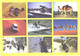 United Arab Emirates:Views, Skiers, Camels, Motor Scooters, Cars - Emirats Arabes Unis