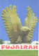 United Arab Emirates:Fujairah. Falcon Roundabout Fujairah - United Arab Emirates