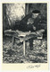 Delcampe - CPM - MAYRINHAGUES (Aveyron) - Le Jougtier - M. Roger Dournes - (Claude Fagé 89.190 à 195) - Autres & Non Classés