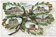 France Germany Wasselnheim Wasselonne  1907 Litho Multi View Postcard  Ge.3 - Wasselonne
