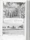 Porto - Moçamedes - Angola - 1ª Guerra Mundial - Militar - World War - Ilustração Portuguesa Nº 459, 1914 - Portugal - Algemene Informatie