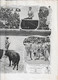 Delcampe - Almourol Tancos Figueira Da Foz Porto Lisboa Corrida Toros Course Taureaux Ilustração Portuguesa Nº 176, 1909 Portugal - Algemene Informatie