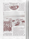 Ilha Do Pico - Açores - Angola - Lisboa - Exposição - Festa Da Árvore - Ilustração Portuguesa Nº 422, 1914 - Portugal - Allgemeine Literatur