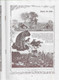 Delcampe - Ilha Do Pico - Açores - Angola - Lisboa - Exposição - Festa Da Árvore - Ilustração Portuguesa Nº 422, 1914 - Portugal - General Issues