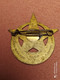 INSIGNE 5 EME REGIMENT DE TIRAILLEURS MAROCAINS, 5 RTM, DRAGO OLIVIER METRA - Army