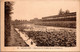 ASIE - INDOCHINE - ANNAM Hué - Remparts Et Fossés De La Citadelle - Indonésie