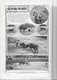 Moçambique - Corrida - Toros - Tourada - Teatro - Ilustração Portuguesa Nº 217, 1910 - Portugal - Informaciones Generales