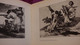 Delcampe - 2 Livres Sur GOYA *DAS GRAUEN DES KRIEGES * Gravures /Guerre- Espagne Et Goya & Nizon. - Kunstführer