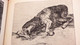 Delcampe - 2 Livres Sur GOYA *DAS GRAUEN DES KRIEGES * Gravures /Guerre- Espagne Et Goya & Nizon. - Art