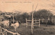 CPA NOUVELLE CALEDONIE - Taa - Station D'elevage - Vaches - Elevage