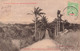 CPA NOUVELLE CALEDONIE - Ile Nou - Route Conduisant A L'hopital Du Marais - Henry Caporn - Obl Gibraltar 1907 - Nieuw-Caledonië