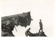 Lot De 32 Petites Photographies De Soldats Allemands à Dunkerque - épave - Bateau Echoué - Guerre - - Guerre, Militaire