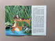 Walt Disney BAMBI (1983) - Zuidnederlandse Uitgeverij, Aartselaar - ISBN 90 243 3021 116.5 X 23.5 Cm. 15p. - Vecchi