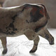 Figurines Avant 1955 Quiralu Lot De Deux Vaches Et Un Mouton, Vache Tachée Marron Bout De Patte Manquante Plomb Creux - Quiralu