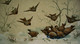 Jolie CHROMO XIXè  LE REPAS DES OISEAUX EN HIVER  21.9 Cm X 13.6 Cm . VICTORIAN SCRAP  FLIGHT OF BIRDS TO SEEDS PLATE - Animali