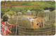 Swaziland - Swazitelecom - Cultural Village, Chip Solaic 03, Exp.03.2001, 20E, Used - Swasiland