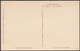 Azaleas, Summerville, South Carolina, C.1910s - Guerin's Pharmacy Postcard - Summerville