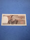 ITALIA-P104 20000L  21/2/1975 - 20000 Lire