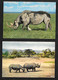 Rhinocéros - Lot 2 CPM Divers - - Rhinoceros