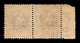 1918 - 10 Cent (22baa) Coppia Orizzontale Bordo Foglio Con Doppia Soprastampa Spostata (T Sul Bordo) - Gomma Integra (2. - Other & Unclassified
