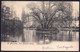 +++ CPA - BRUSSEL - BRUXELLES - Parc Leopold - Etang - 1903  // - Forêts, Parcs, Jardins