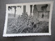 Delcampe - Fotos 2.WK Um 1941 Soldaten / Krieg / Hitlerjugend ?! Interessanter Stöberposten Mit 37 Fotos (natürlich Originale) - Albumes & Colecciones